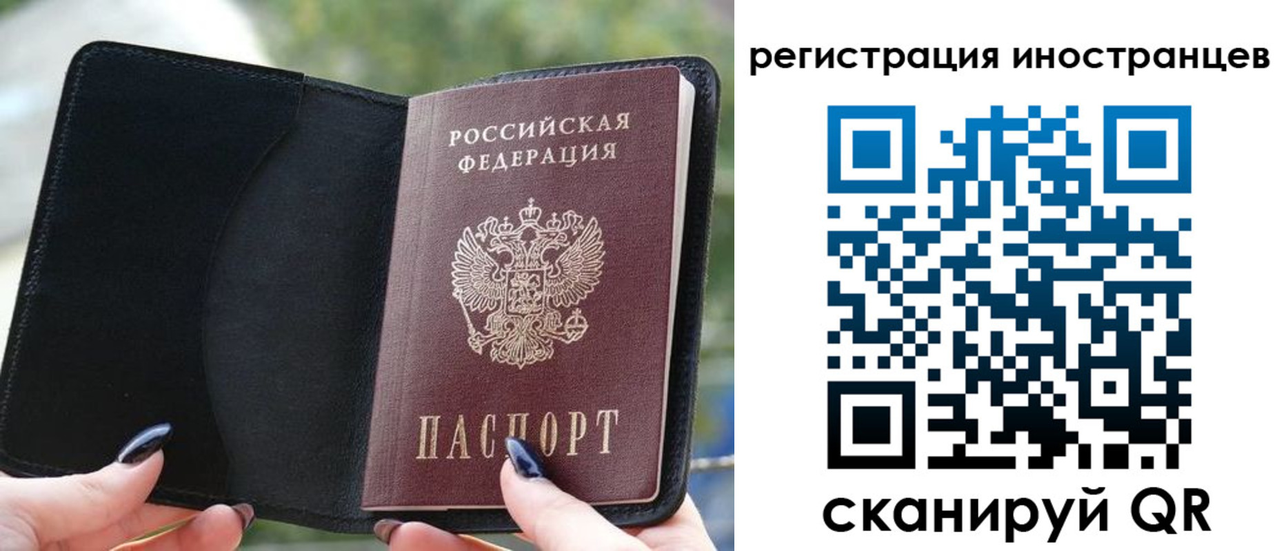 найти адрес прописки в Новой Ляле